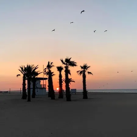 Le Flamingo - A 300 M - Terrasse - Climatisation Apartamento Narbonne-Plage