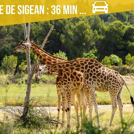 Le Flamingo - A 300 M - Terrasse - Climatisation 아파트 *